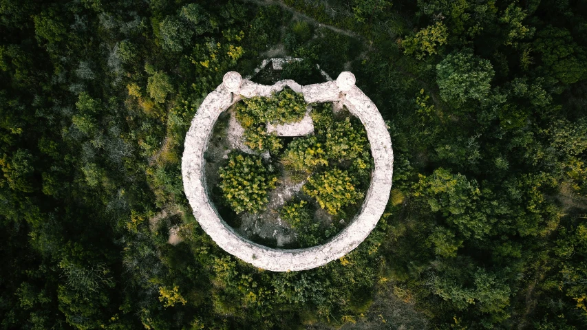 a circular picture in the middle of trees