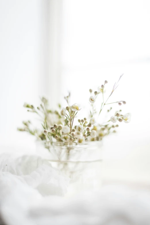 an image of flowers in a glass vase