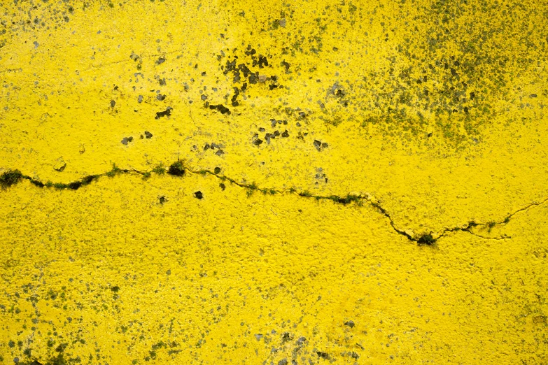 a black and white po of the surface of a dirty yellow wall