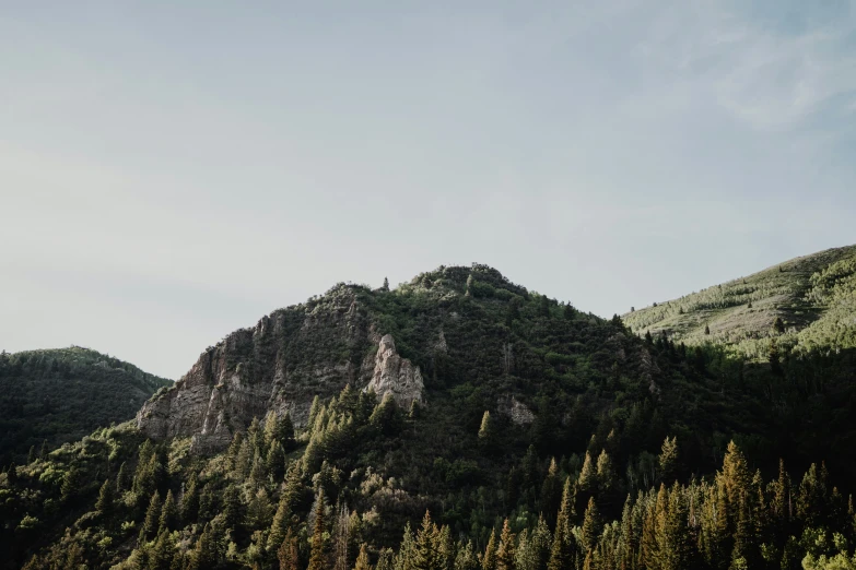 a view of mountains in the forest in a sunny day