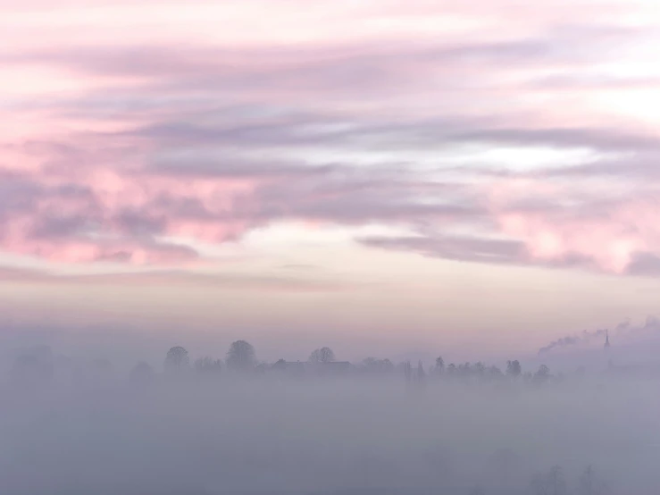 fog on the ground and trees in the distance