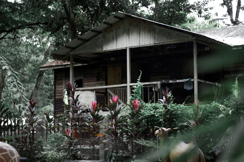 an old, rustic house sits in the middle of trees