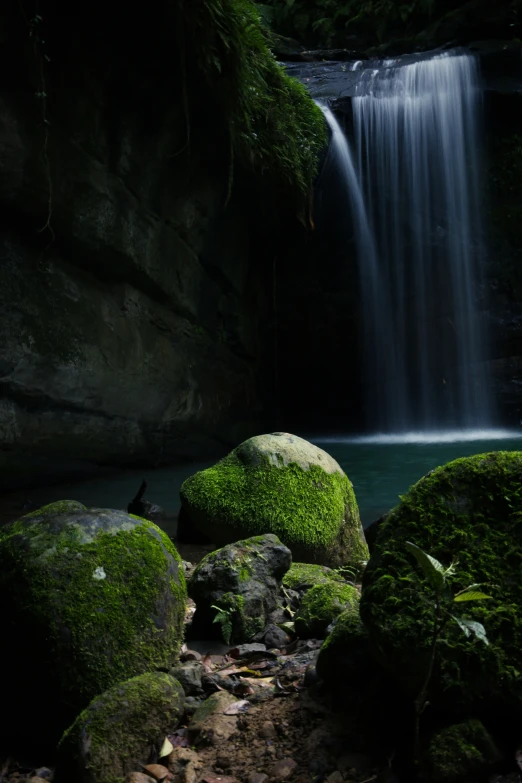 moss growing on rocks in front of a small waterfall