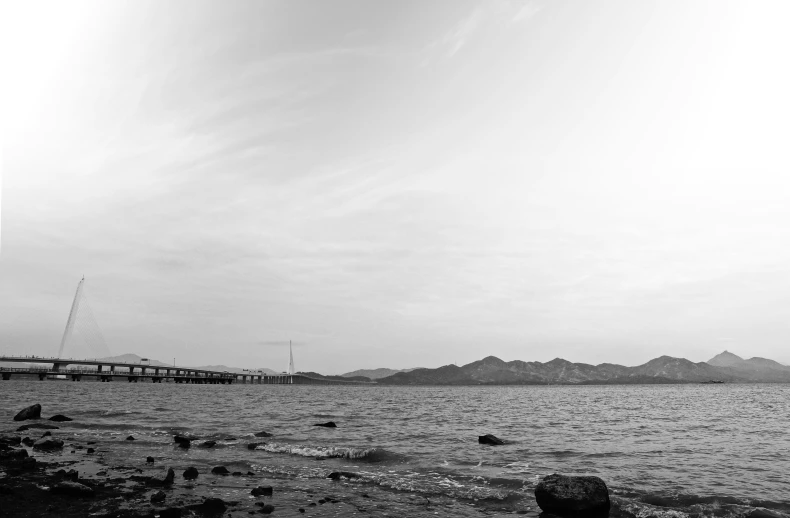 black and white pograph of seagulls flying over water