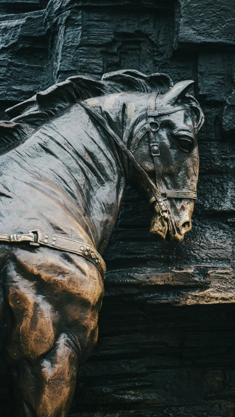 a large horse that is wearing a saddle on its back