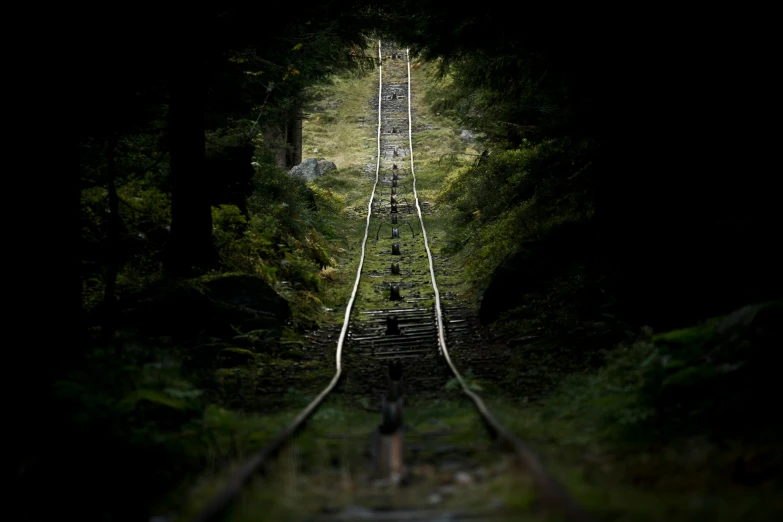 train tracks in the middle of a forest at night