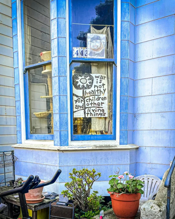 blue window with potted plants and bicycle outside