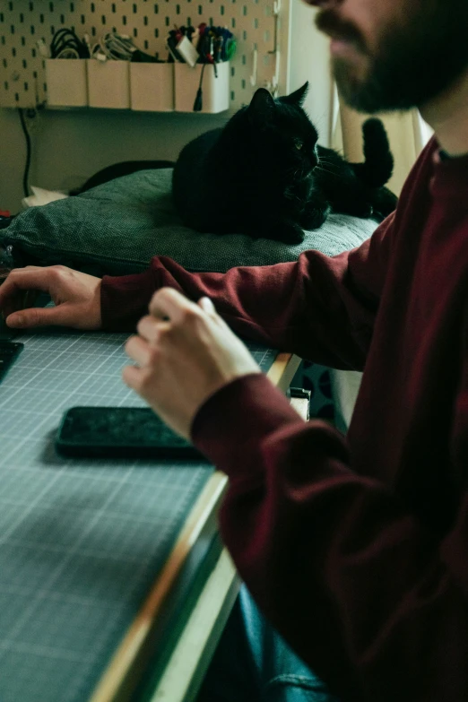 a man working on his laptop while a cat lies down nearby