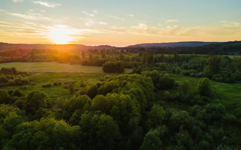 a green field with a sunset in the background