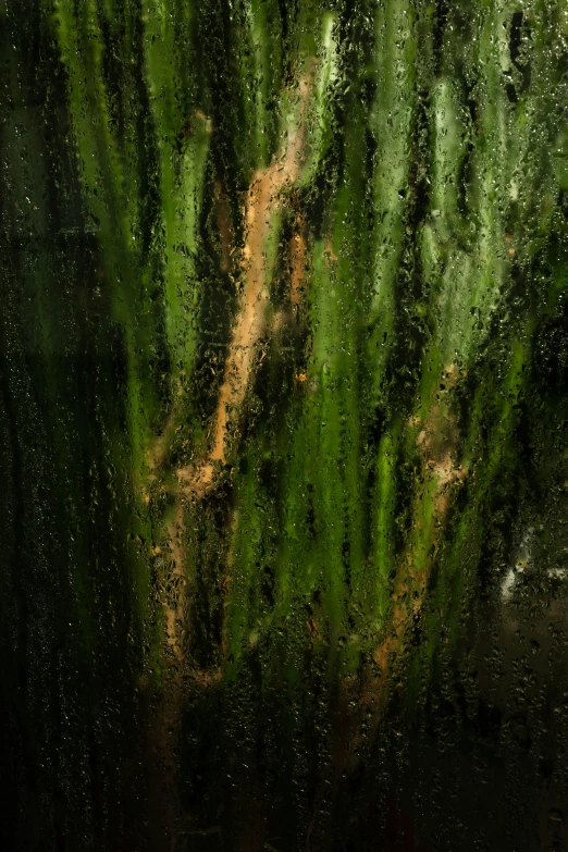 water is droplets on a window next to grass
