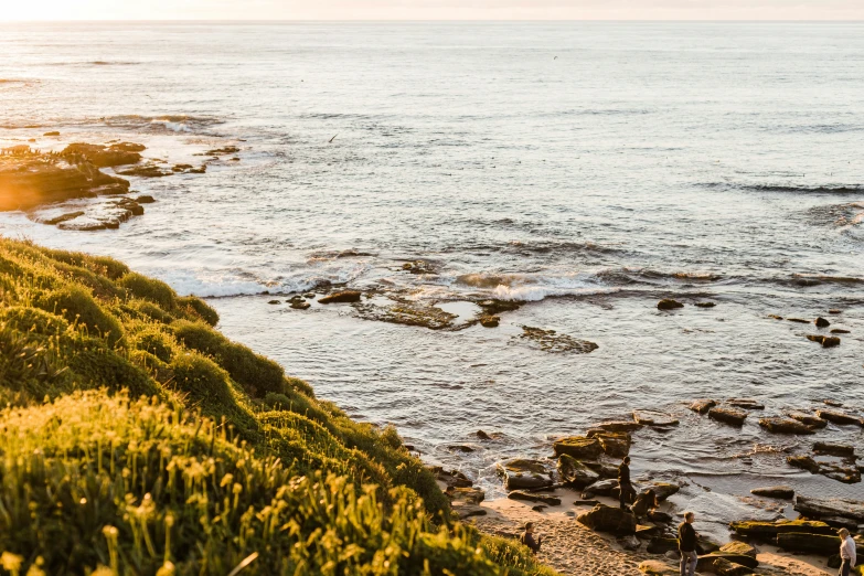 a scenic landscape at sunset over a cliff