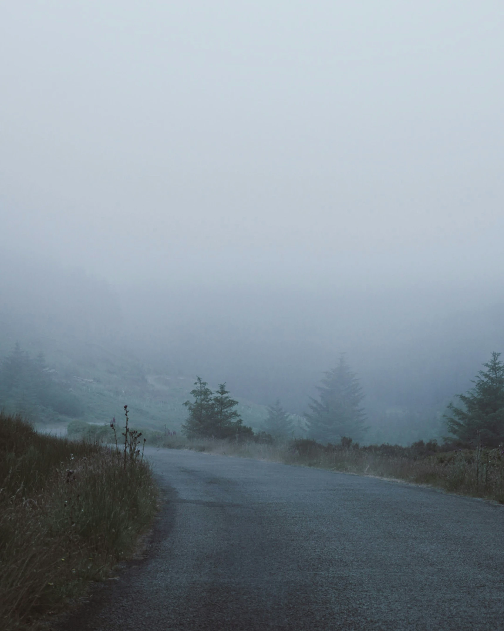 an empty country road surrounded by fog