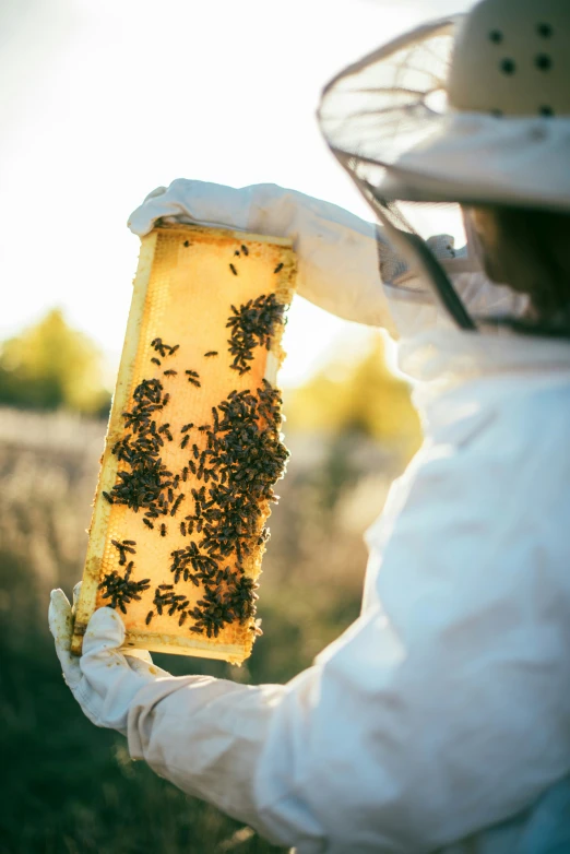 a lady in white holding a beehive next to her face