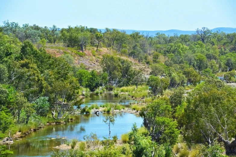 a wide creek with an elephant in the background