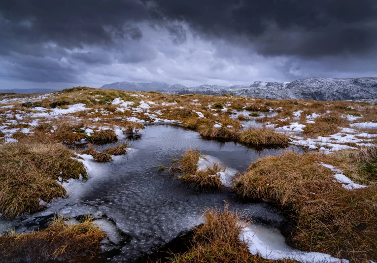 an expanse of grass and small swampy area with some snow