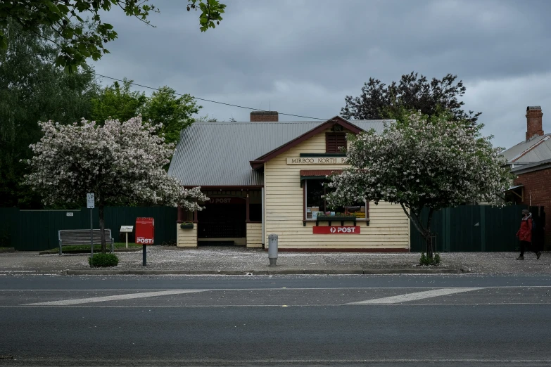 an empty street with houses and trees