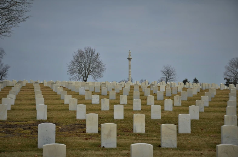 there are several rows of cemetery headstones