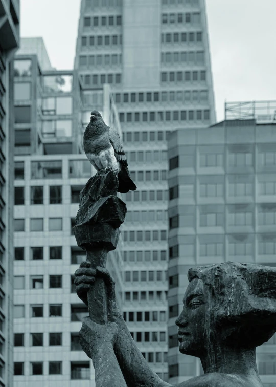 a statue with a pigeon sitting on it