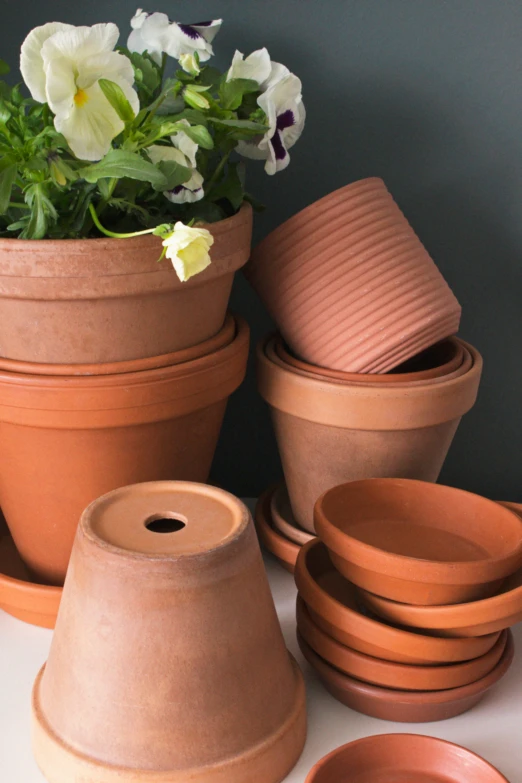 the vases and dishes were lined up next to each other