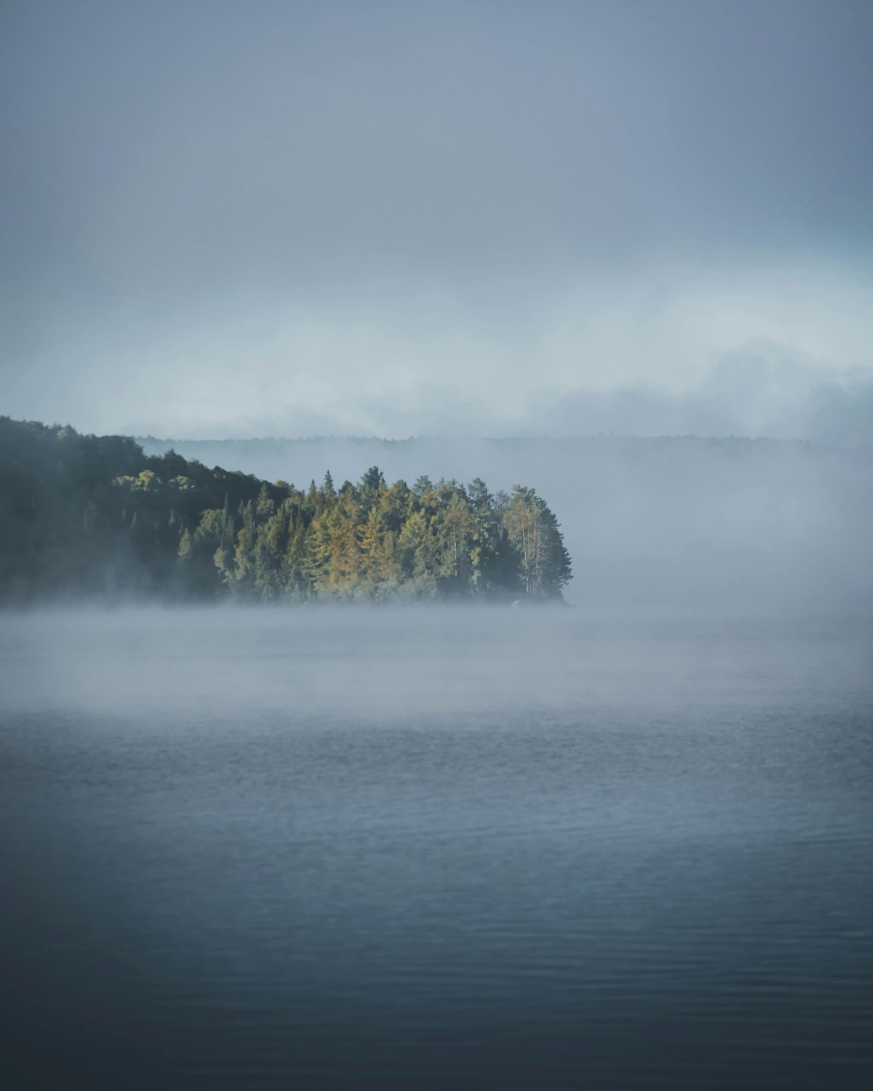 a row of evergreen trees sit on a foggy lake