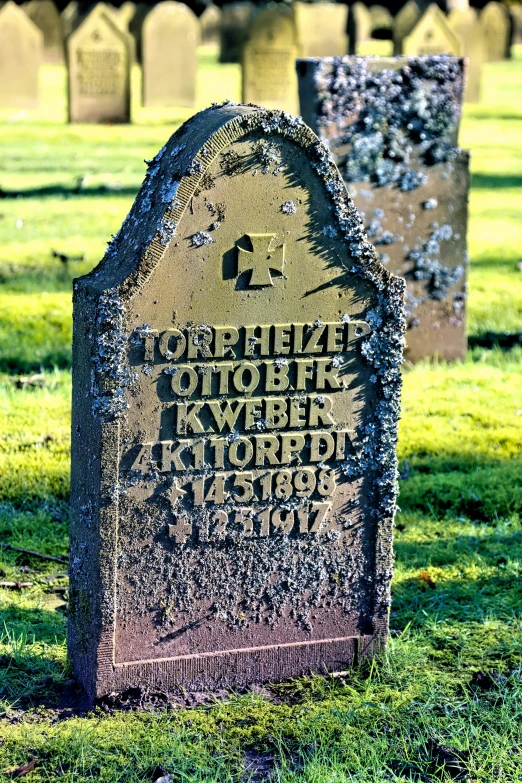 a grave with german writing sits in a grassy field