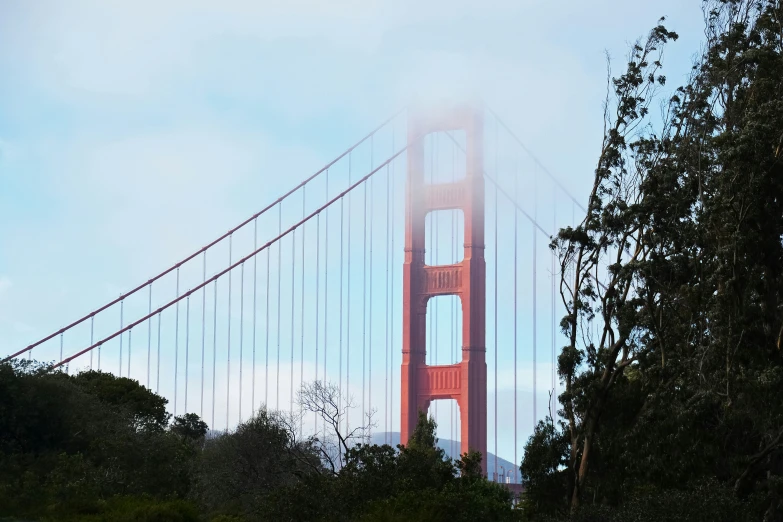 a large bridge over water with trees on both sides