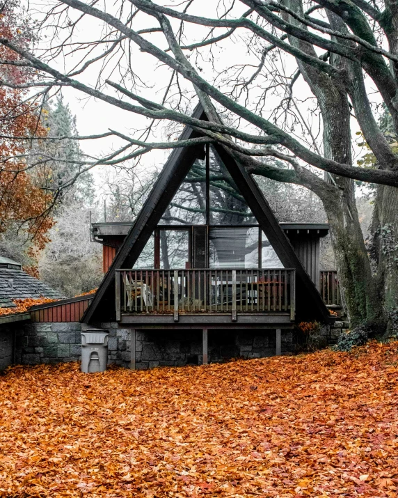 the back porch in autumn with autumn leaves on the ground and falling to the ground