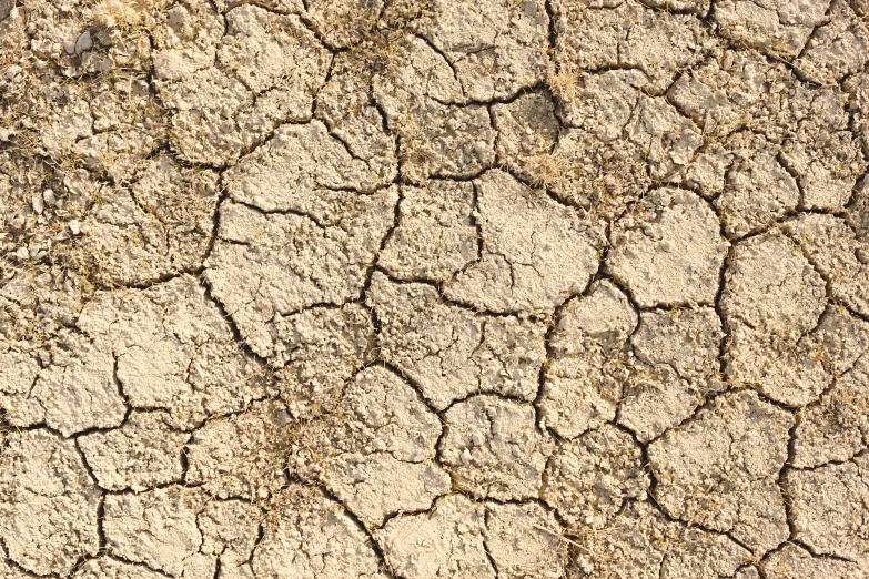 close up po of an arid area with some rocks and grass on top