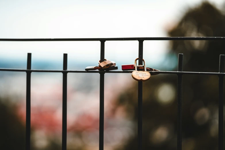 two medals tied to a wrought iron fence