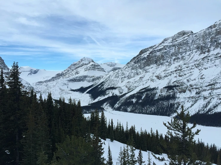 a forest and a snow capped mountain under clouds