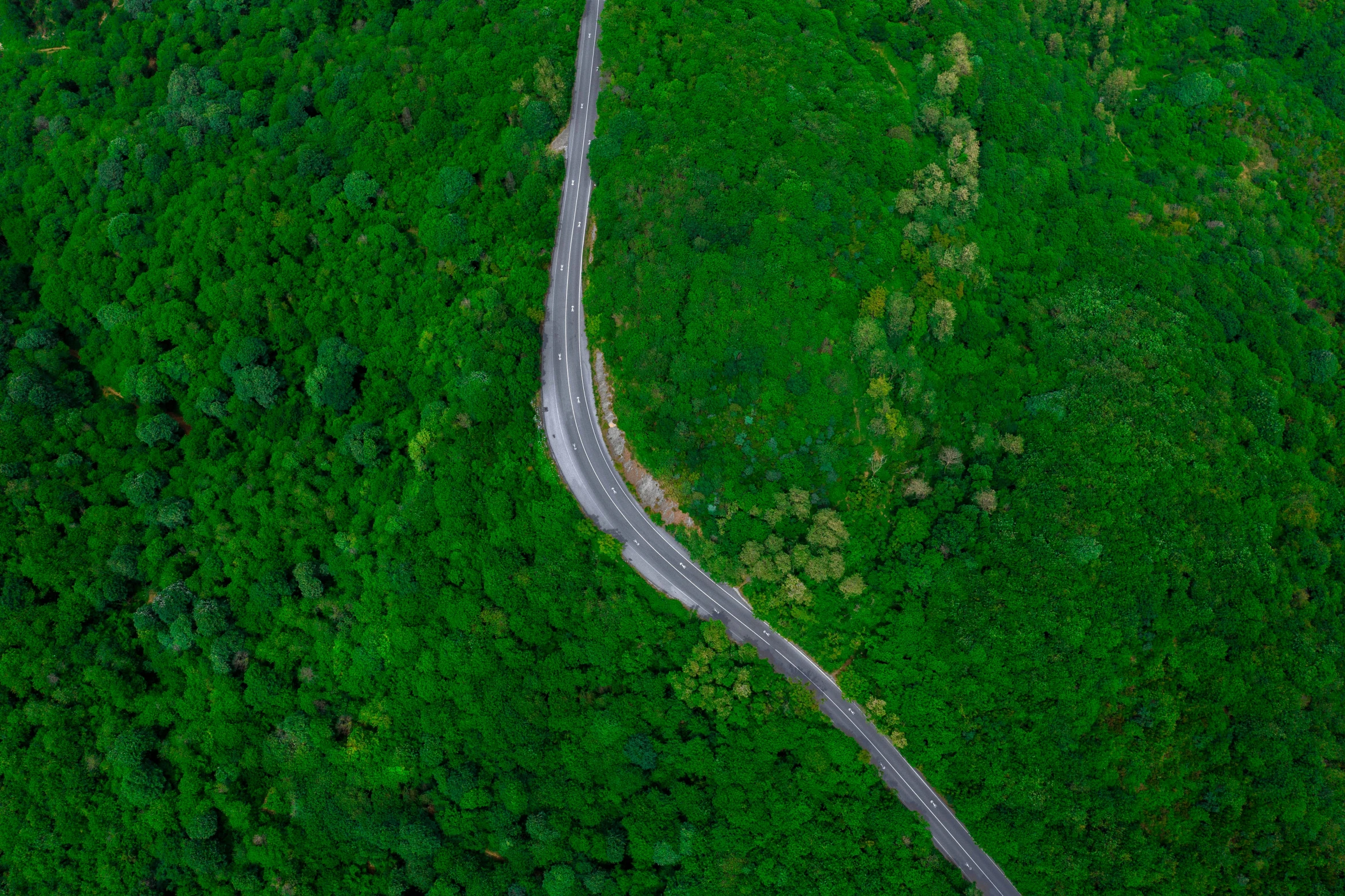 two roads on top of lush green mountain side