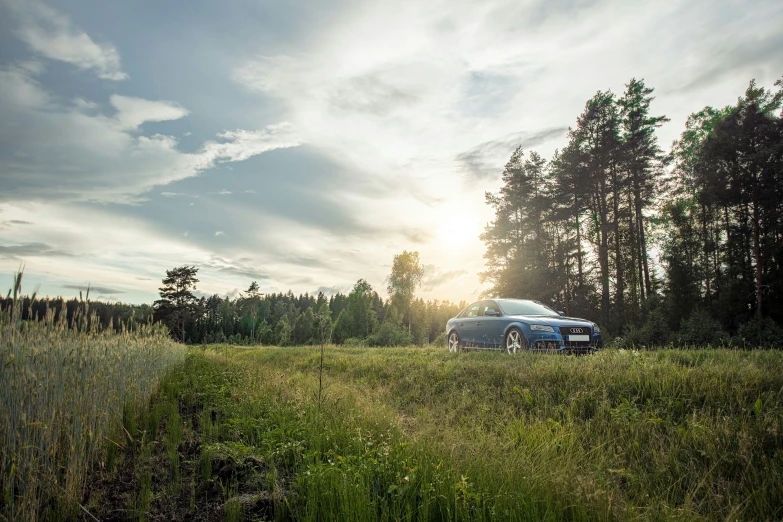 a car is parked in the grass in front of some trees