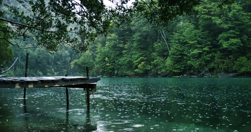 a lake sits empty in the middle of trees