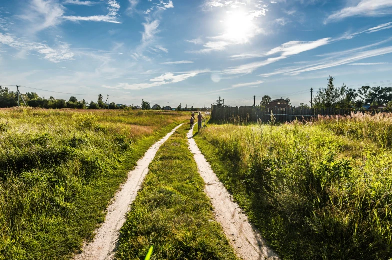 two pathways leading to different sides on a sunny day