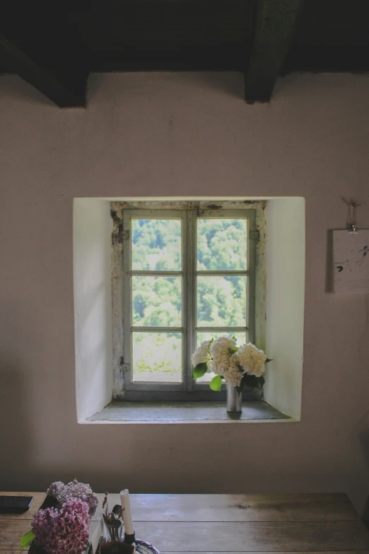 a window in a home with flowers on the counter
