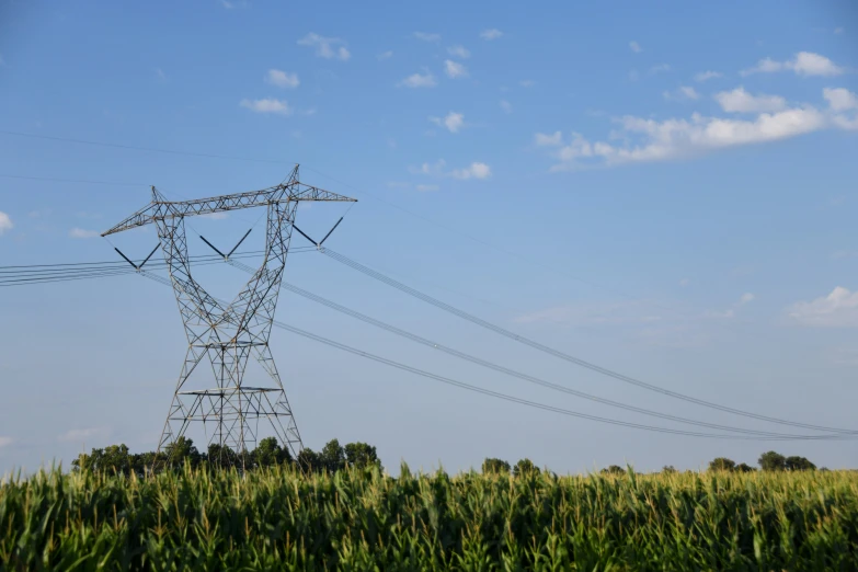 electric lines over an empty field in the countryside