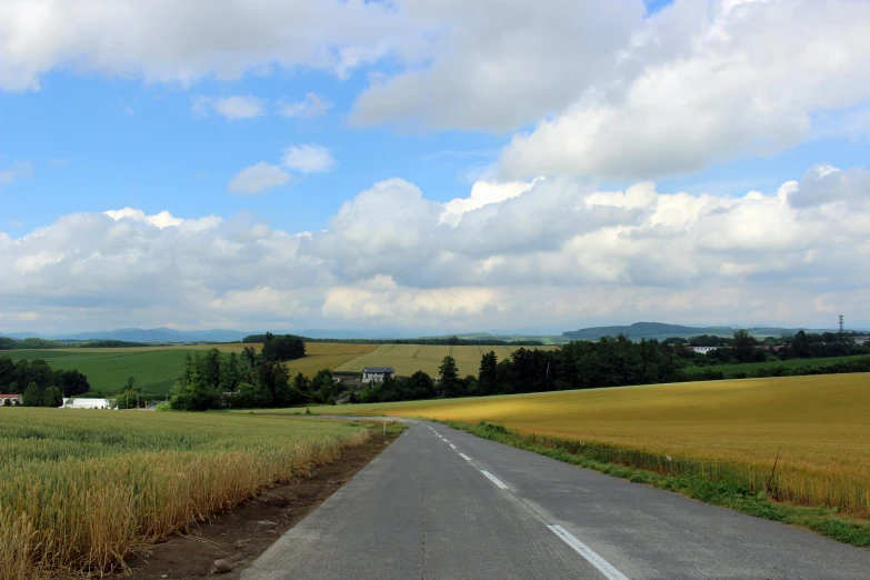 an empty country road is surrounded by rolling, green grass