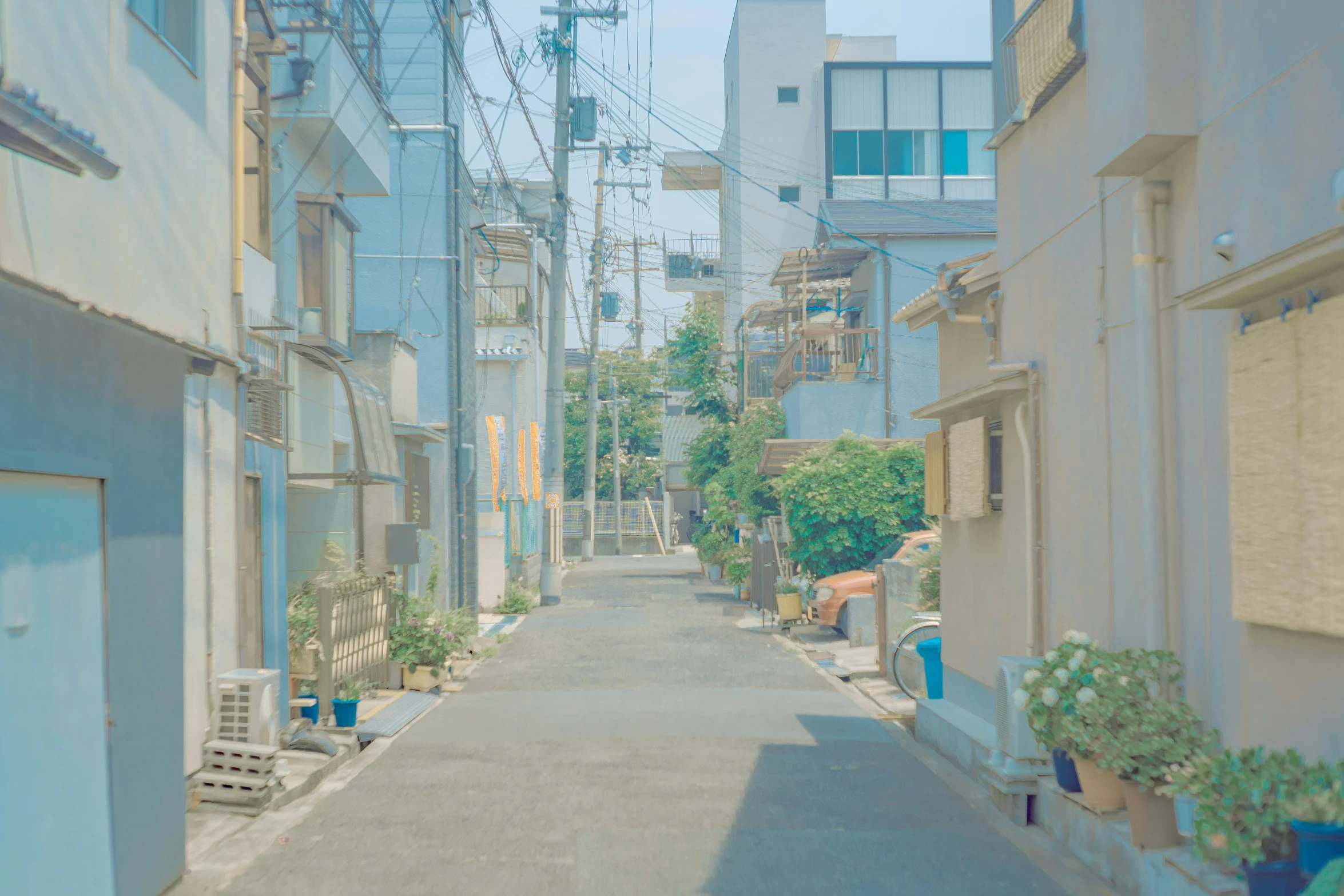 a street lined with many buildings and plants