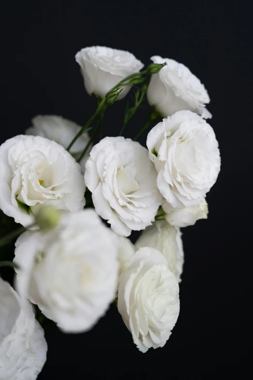 a bouquet of white flowers with the stems still out