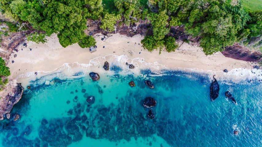 an aerial view of a beach in the forest