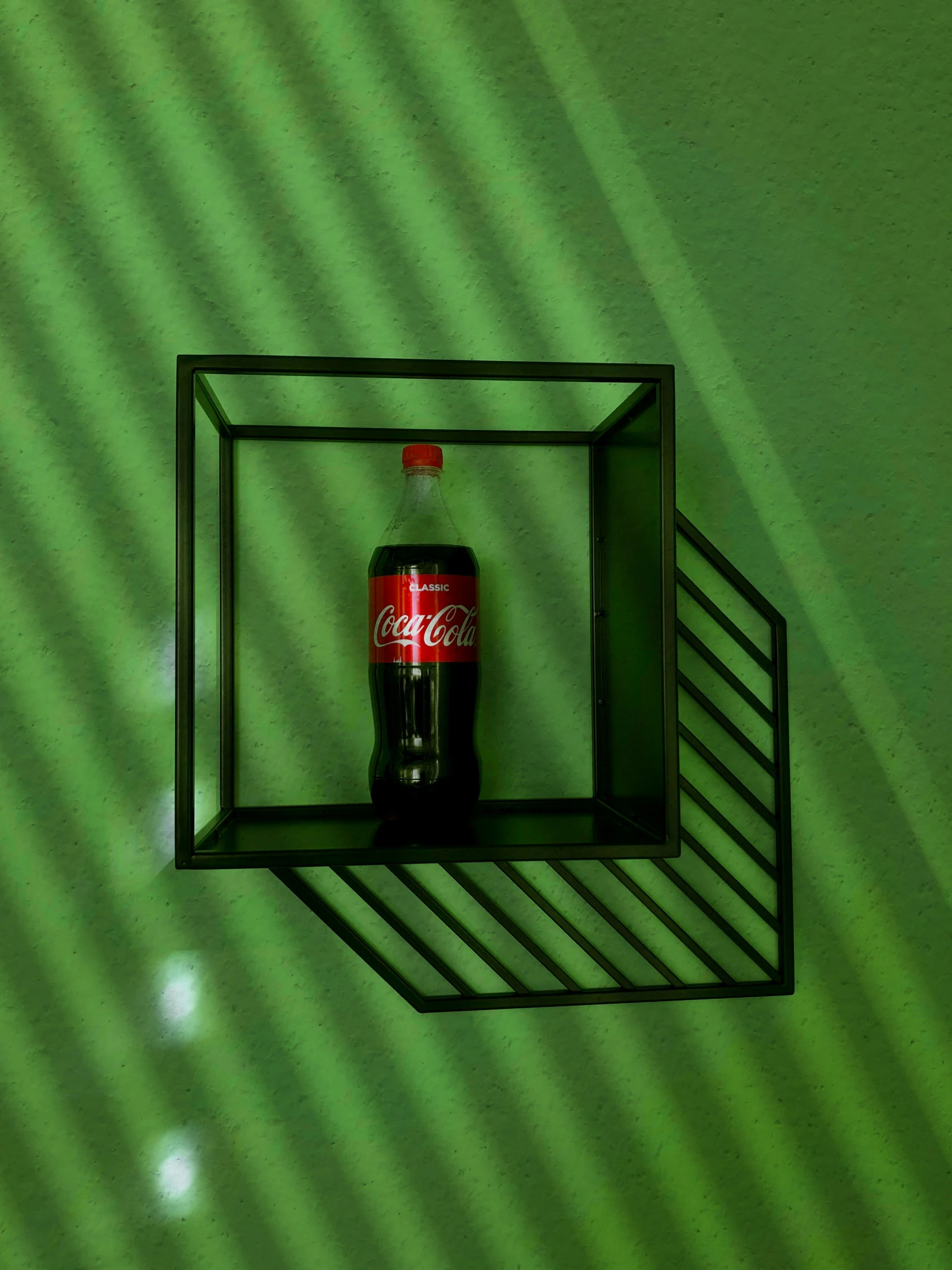 the back of a bottle that is in a shadow box