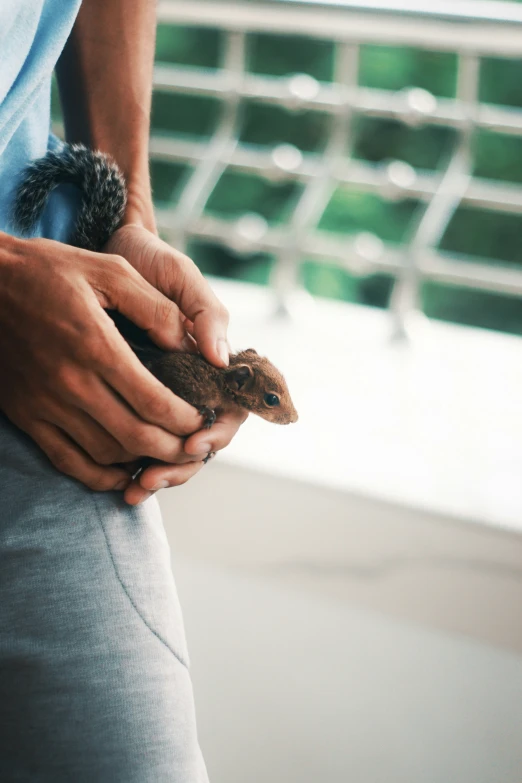 a person holds the top half of his pants