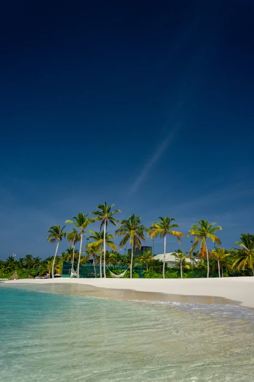 the beach is filled with white sand and palm trees