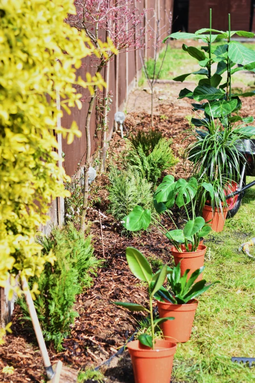 plants and a wheel are on the ground