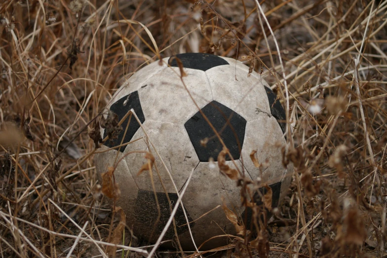 there is a ball that is in the grass