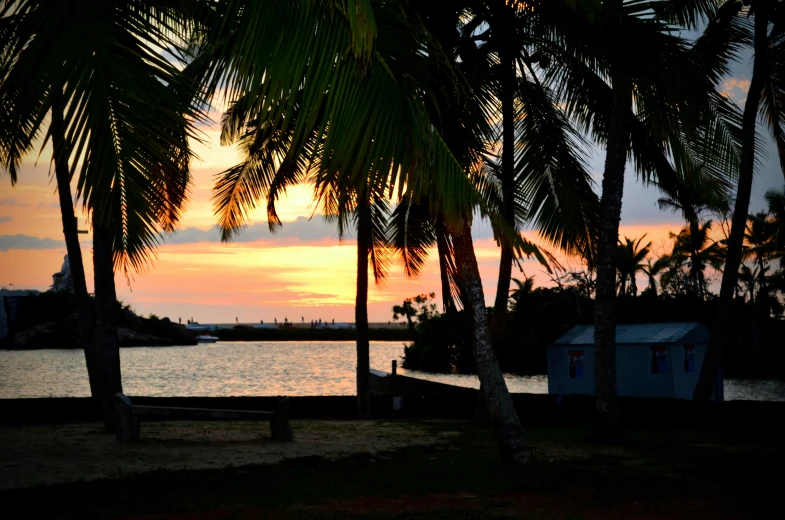 palm trees and shacks at dusk overlooking the ocean