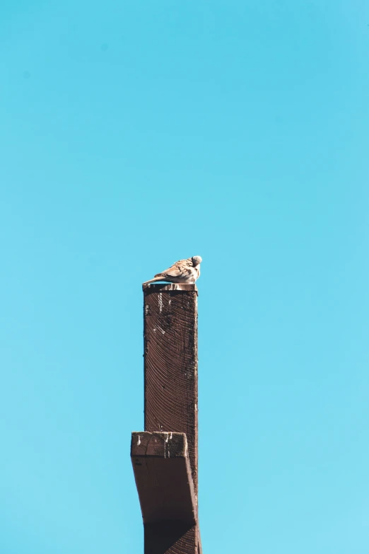 a bird perched on the edge of a piece of building