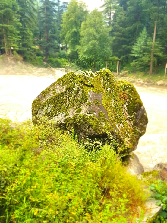 a large rock sits in the middle of a forest