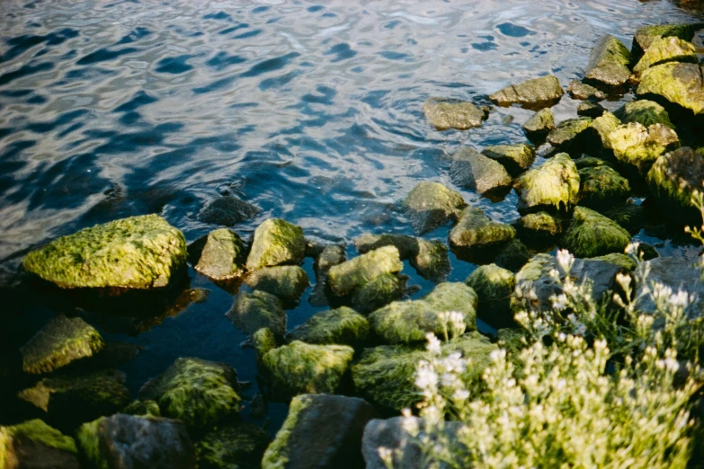 the rocks are covered in moss, as seen from the water's edge