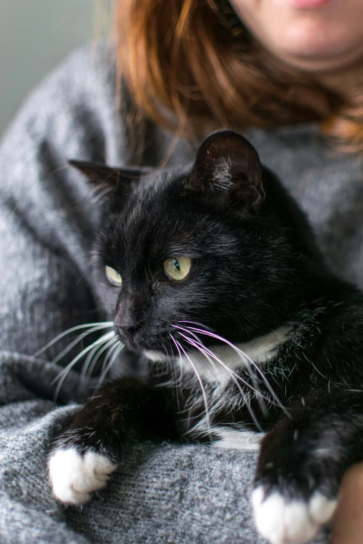 a close up of a person holding a black and white cat